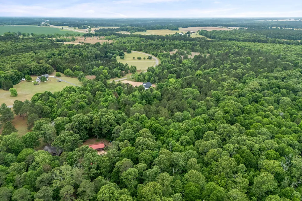 0 Sylvan Grove Road Stapleton, GA 30823