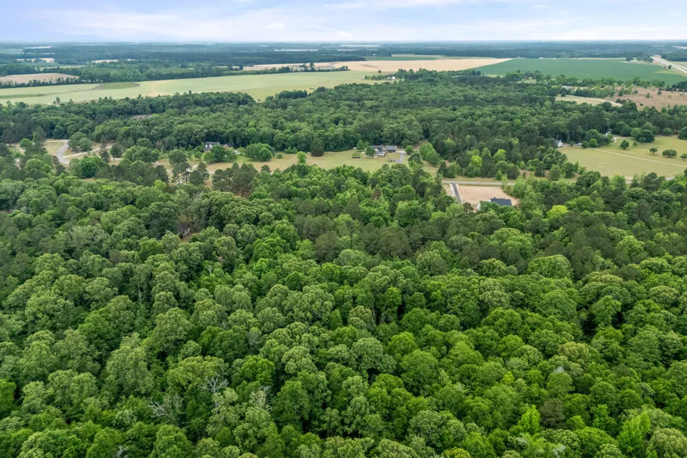 0 Sylvan Grove Road Stapleton, GA 30823