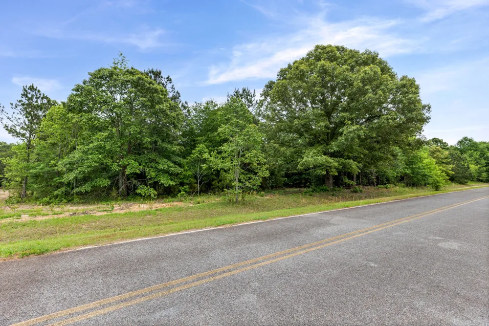 0 Sylvan Grove Road Stapleton, GA 30823