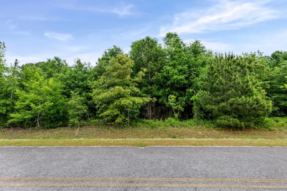 0 Sylvan Grove Road Stapleton, GA 30823