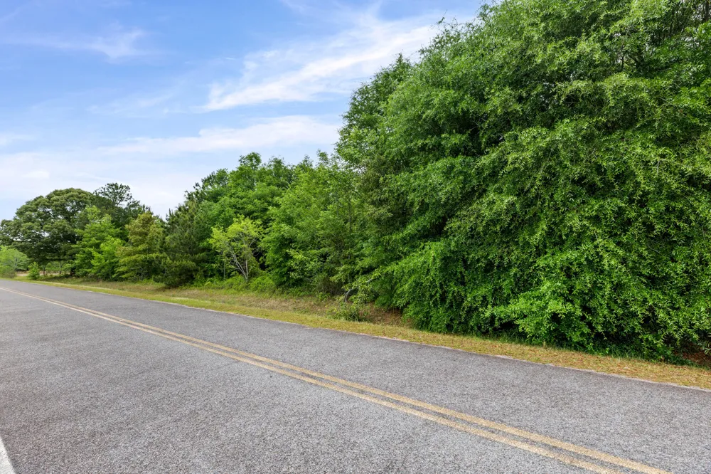 0 Sylvan Grove Road Stapleton, GA 30823