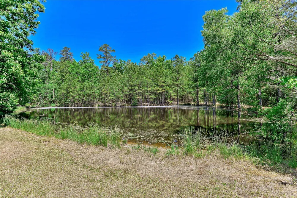 1154 Water Oak Drive Lincolnton, GA 30817