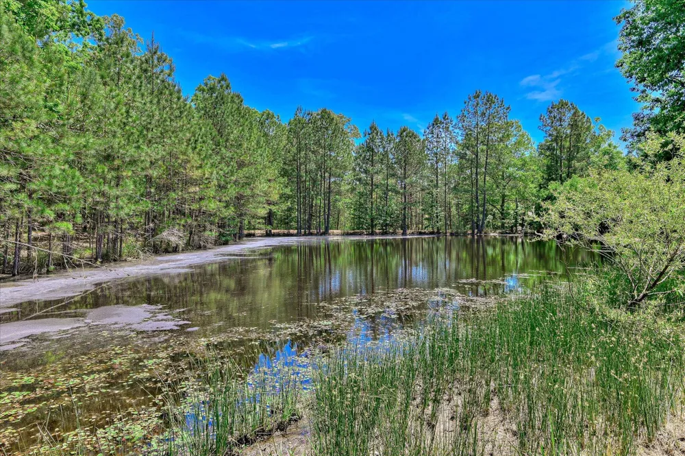 1154 Water Oak Drive Lincolnton, GA 30817