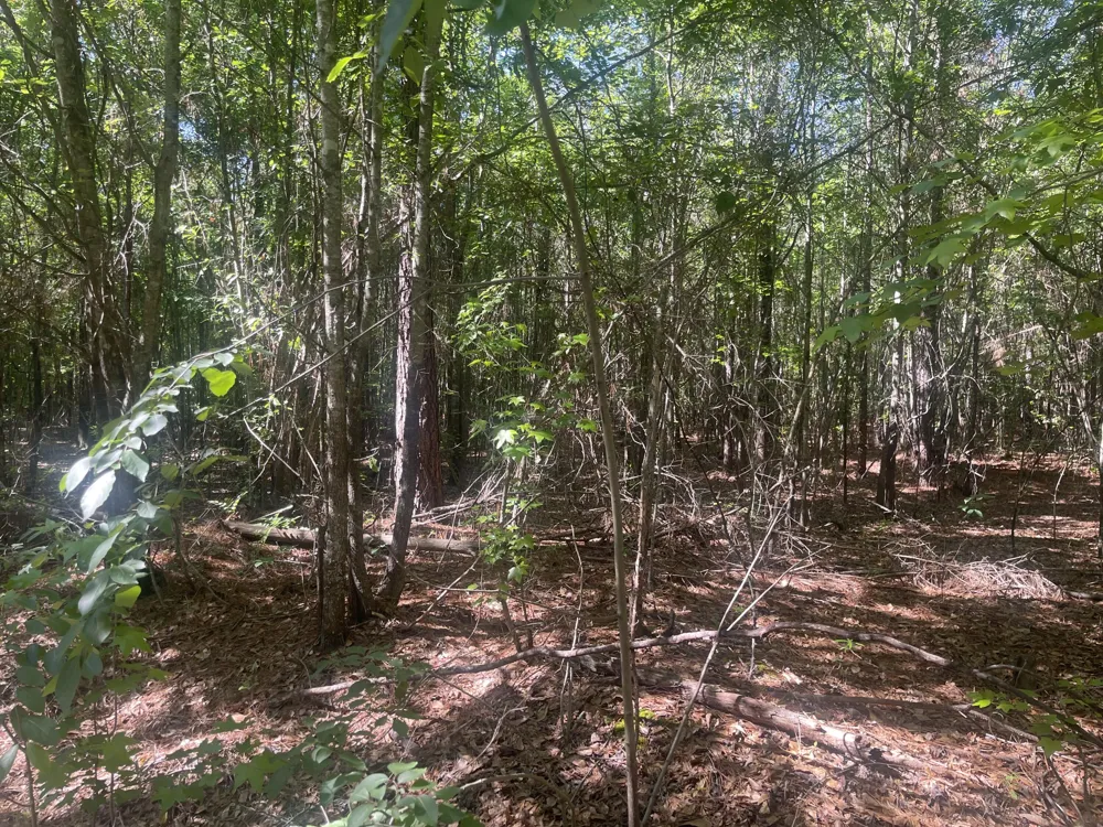 1716 Ranger Road Warrenton, GA 30828