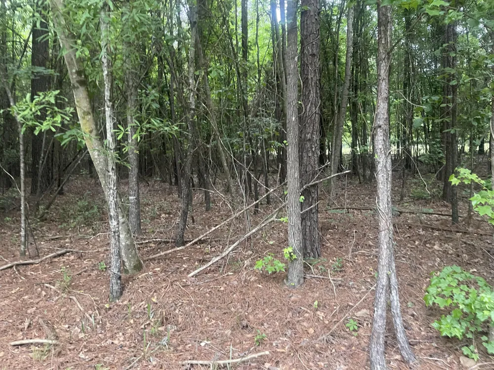 1716 Ranger Road Warrenton, GA 30828