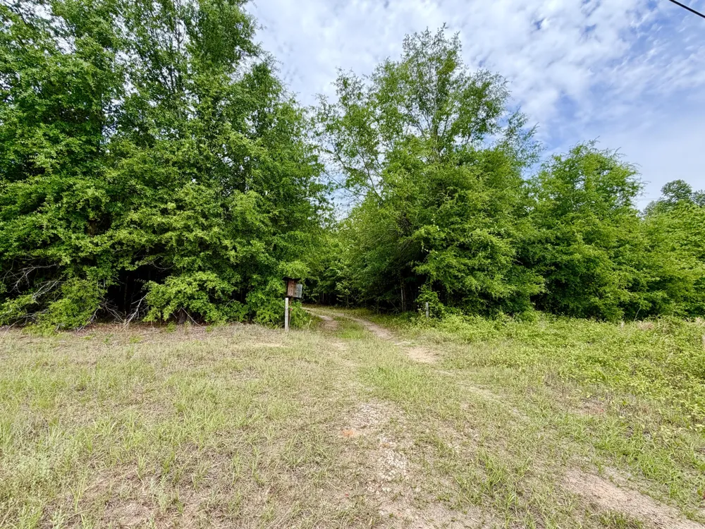 215 Gresham Road Keysville, GA 30816