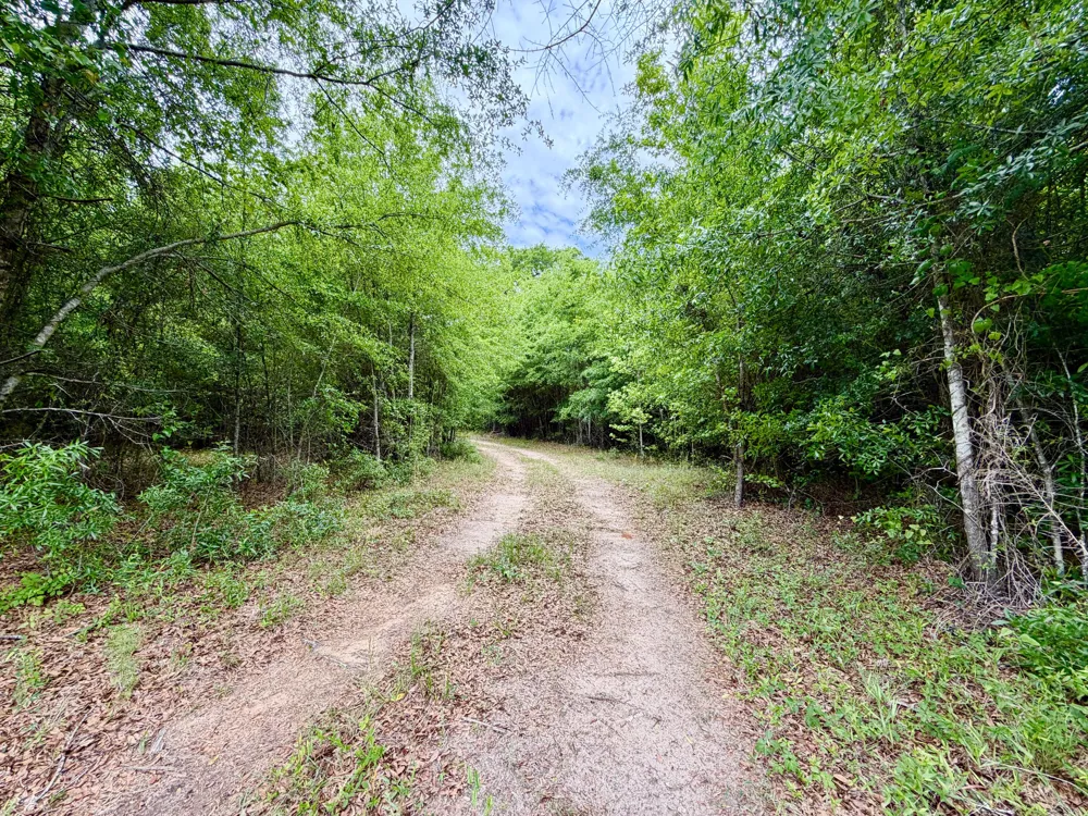 215 Gresham Road Keysville, GA 30816