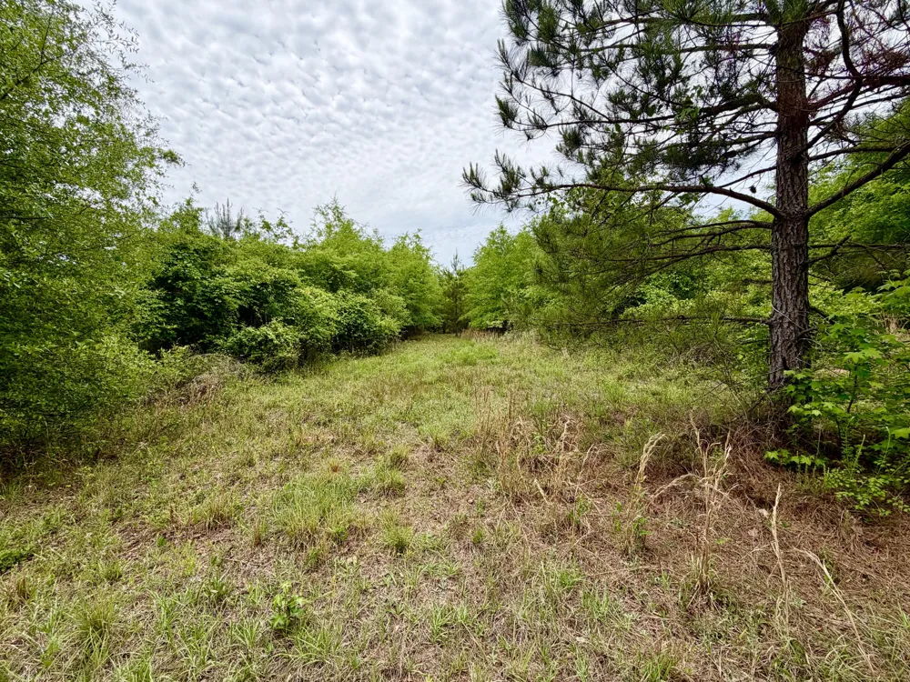 215 Gresham Road Keysville, GA 30816
