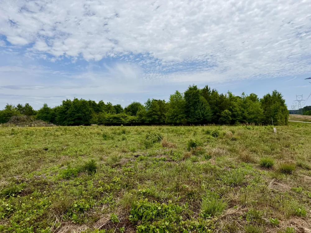 215 Gresham Road Keysville, GA 30816