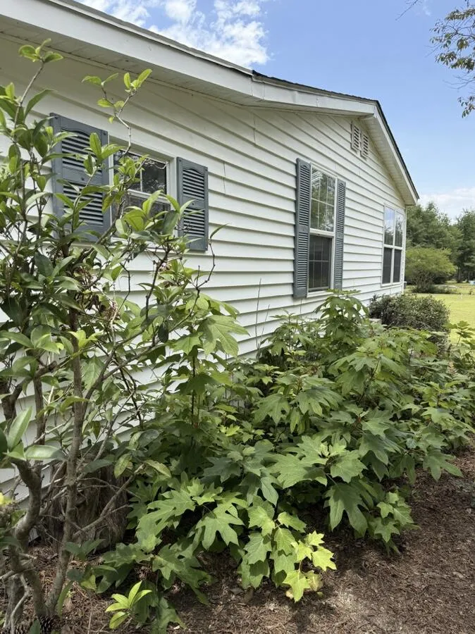 5920 Ga-23 Waynesboro, GA 30830