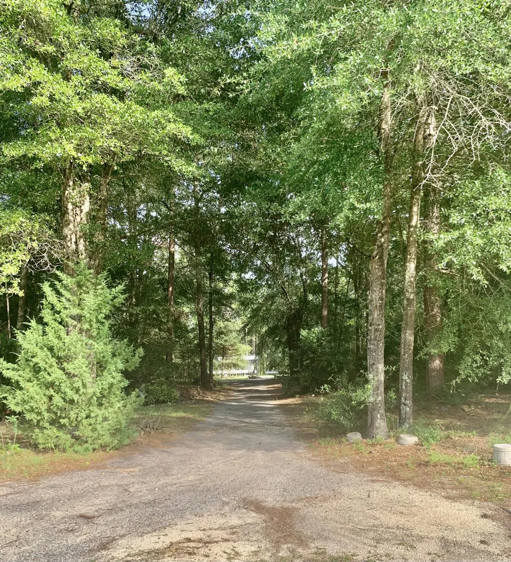 5920 Ga-23 Waynesboro, GA 30830