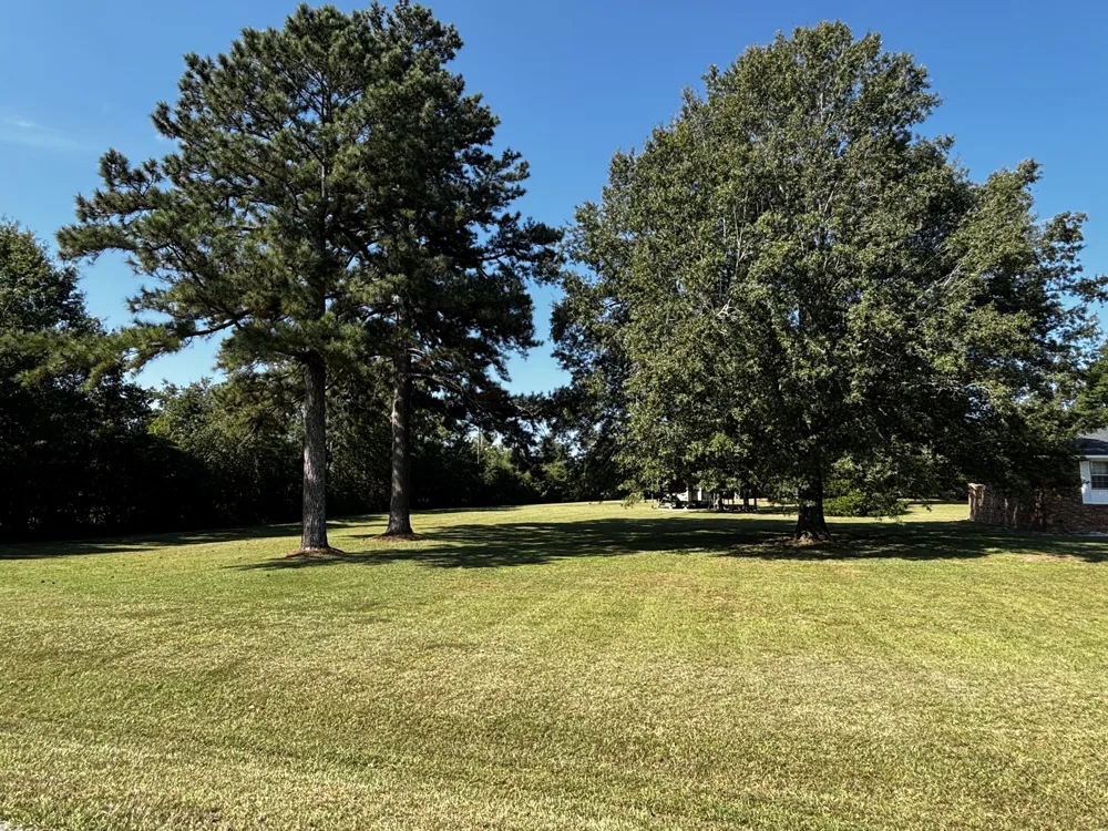 207 Old Thomson Road Wrens, GA 30833