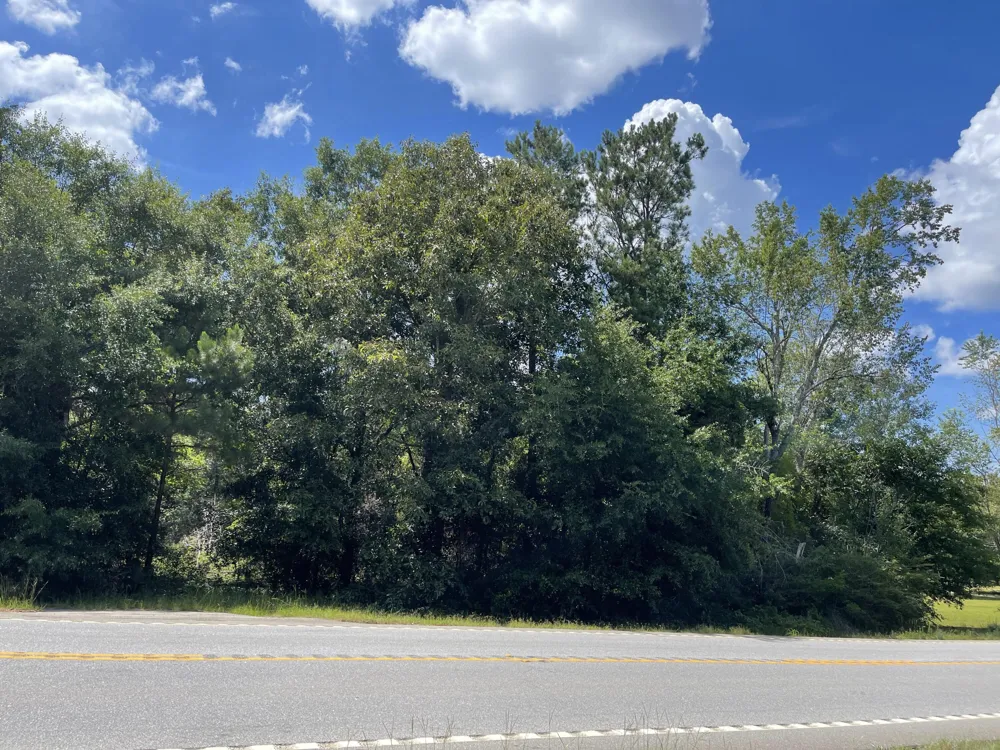 0000 Highway 56 North Waynesboro, GA 30830