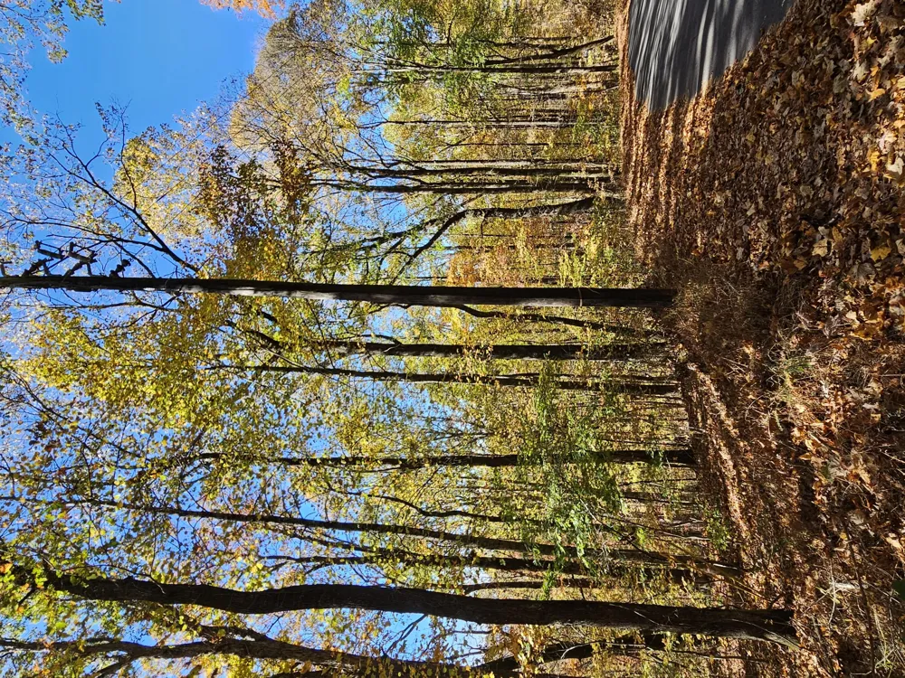 0 Confederate Drive Clayton, GA 30525