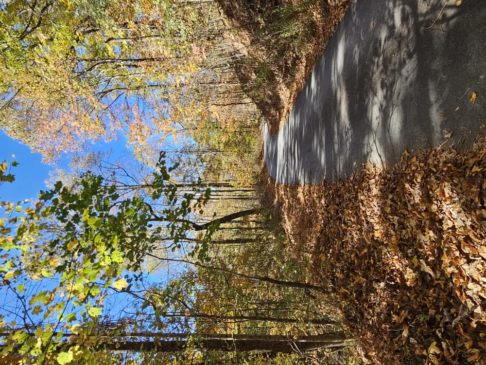 0 Confederate Drive Clayton, GA 30525
