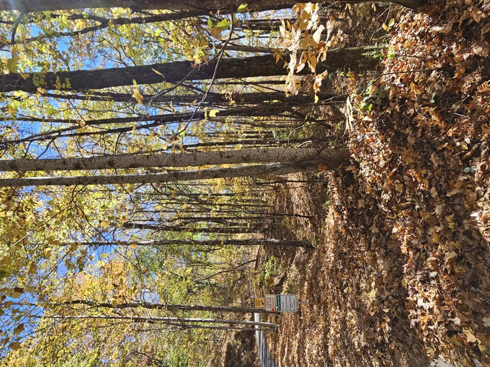 0 Confederate Drive Clayton, GA 30525
