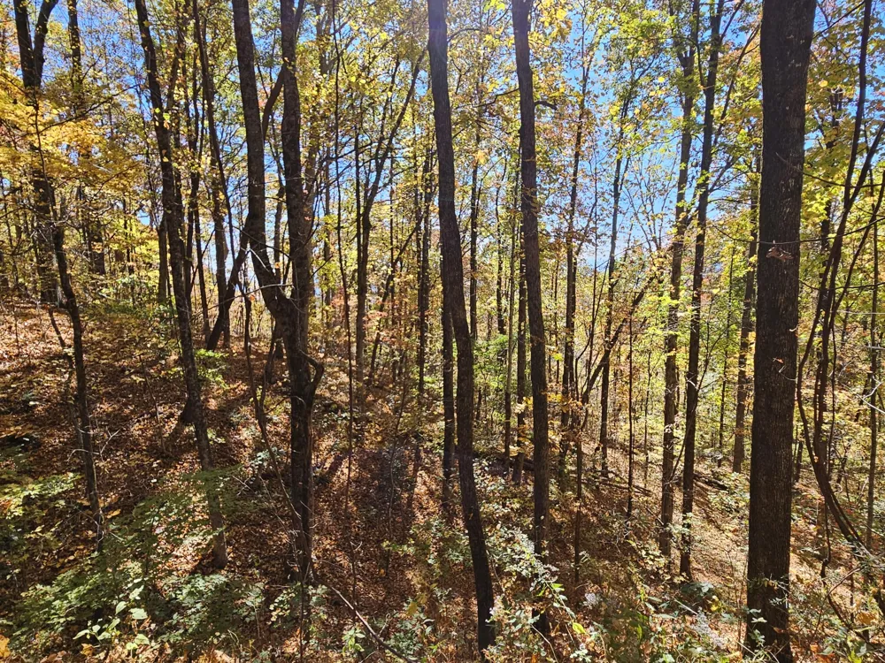 0 Confederate Drive Clayton, GA 30525
