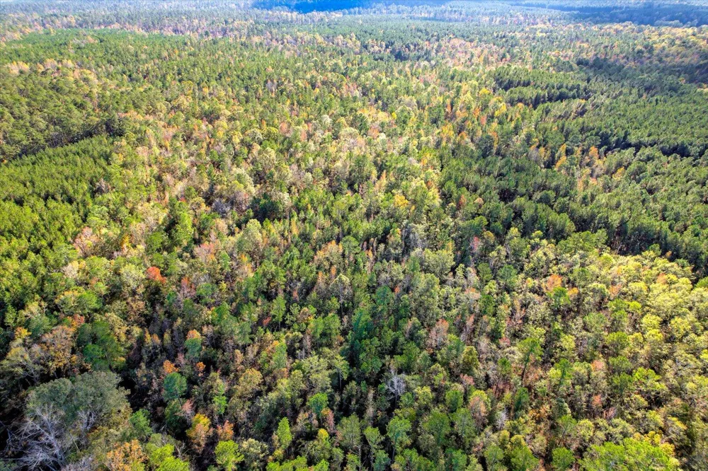 Tbd2 Sc-23 Edgefield, SC 29824