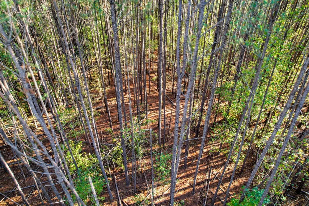 Tbd2 Sc-23 Edgefield, SC 29824