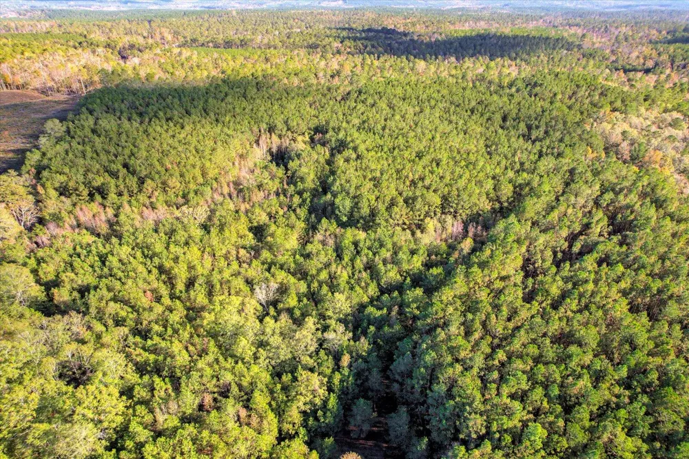 Tbd2 Sc-23 Edgefield, SC 29824