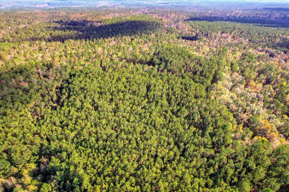 Tbd2 Sc-23 Edgefield, SC 29824