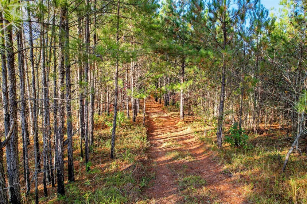 Tbd2 Sc-23 Edgefield, SC 29824