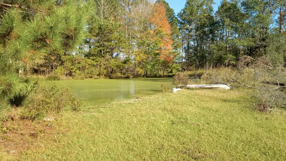 Tbd2 Sc-23 Edgefield, SC 29824