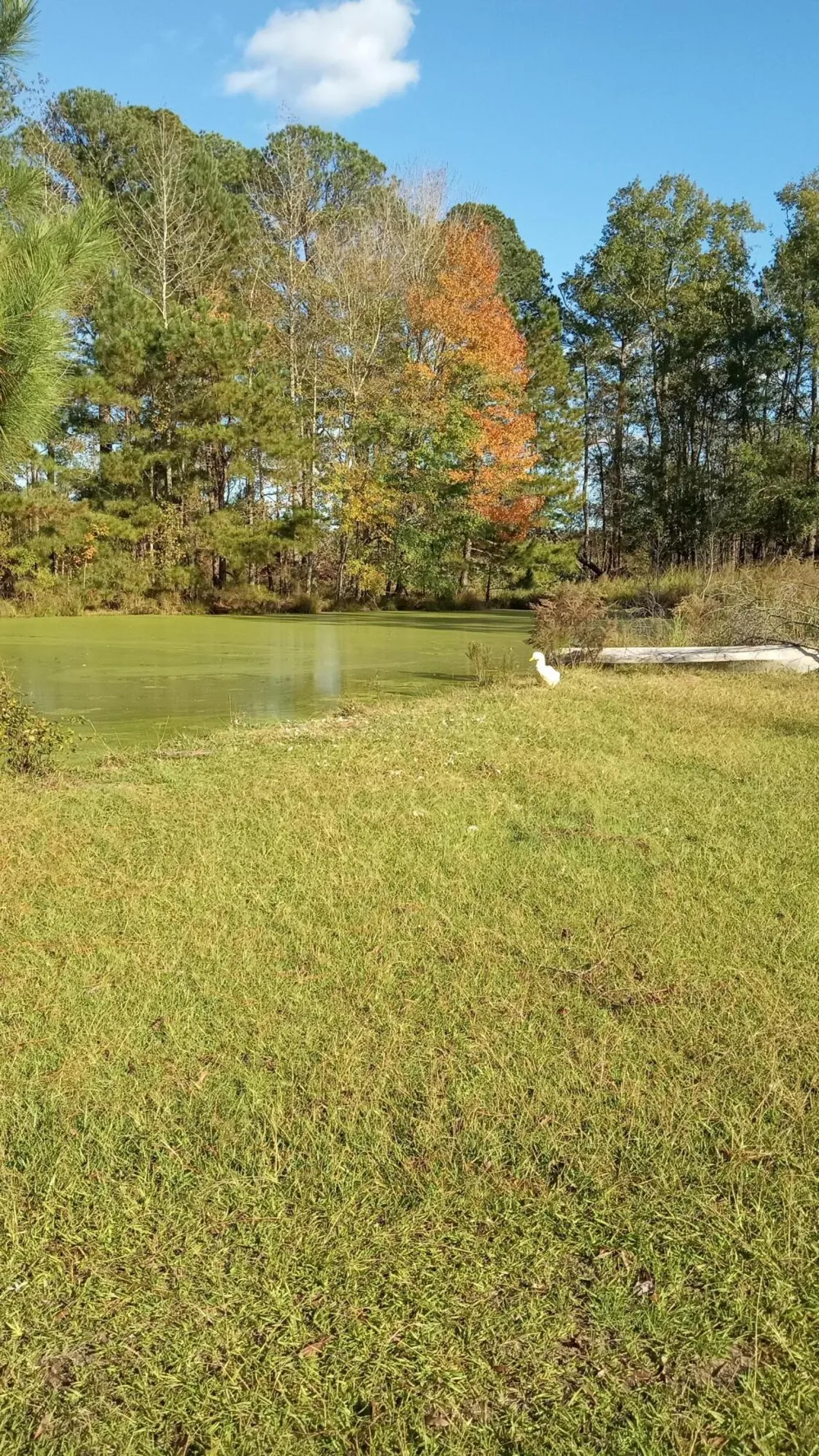 Tbd2 Sc-23 Edgefield, SC 29824