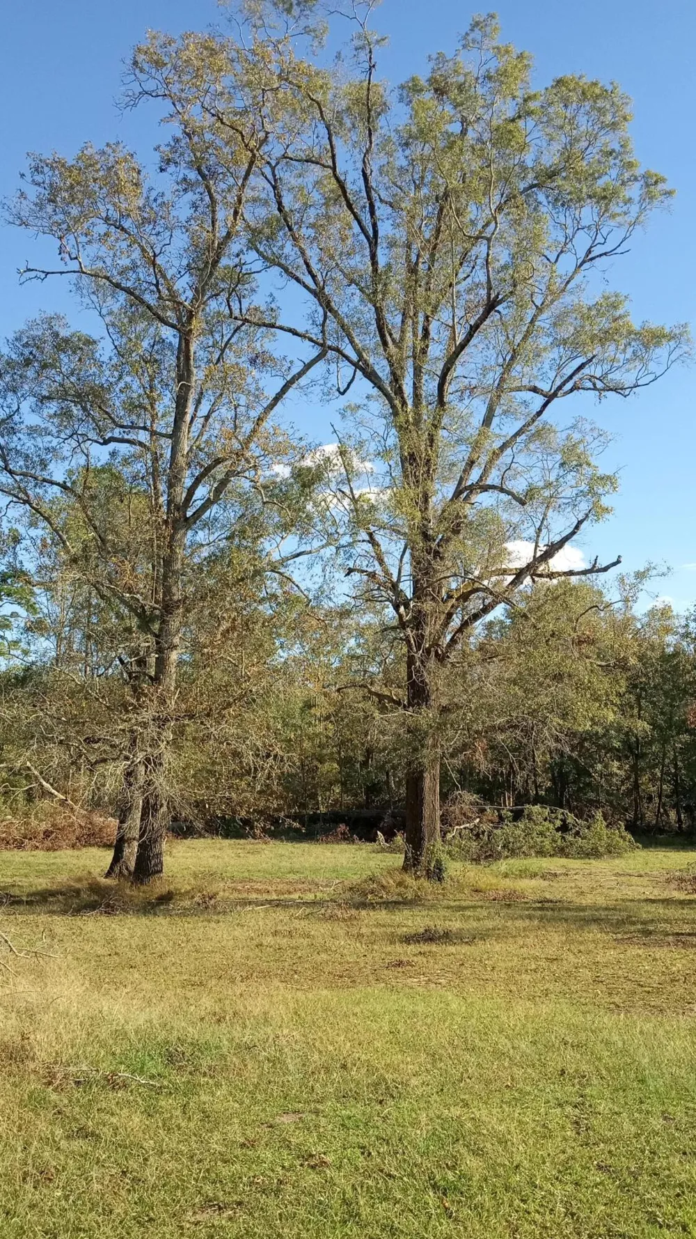 Tbd2 Sc-23 Edgefield, SC 29824