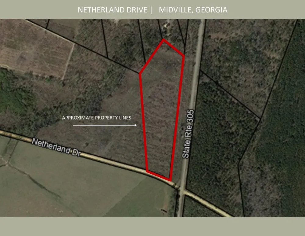 0 Netherland Drive Midville, GA 30441