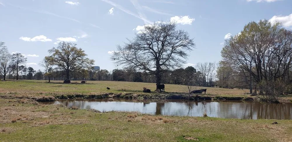 716 Augusta Road Edgefield, SC 29824