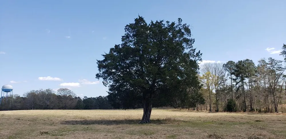 716 Augusta Road Edgefield, SC 29824