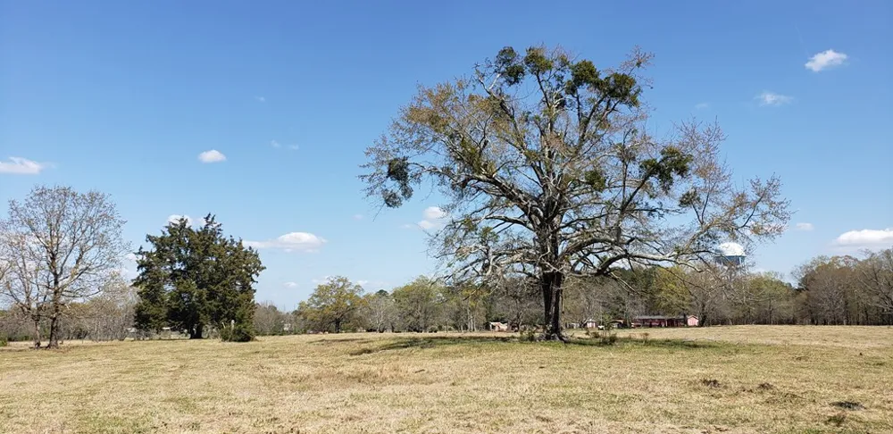 716 Augusta Road Edgefield, SC 29824
