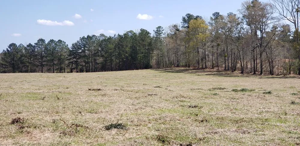 716 Augusta Road Edgefield, SC 29824