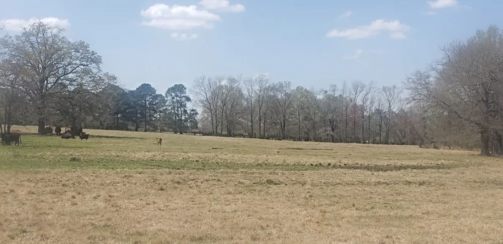 716 Augusta Road Edgefield, SC 29824