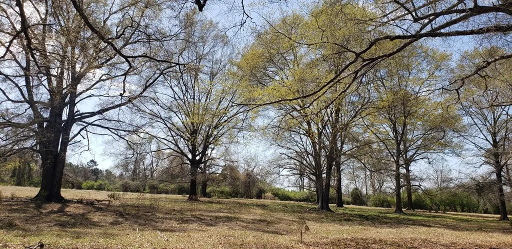 716 Augusta Road Edgefield, SC 29824