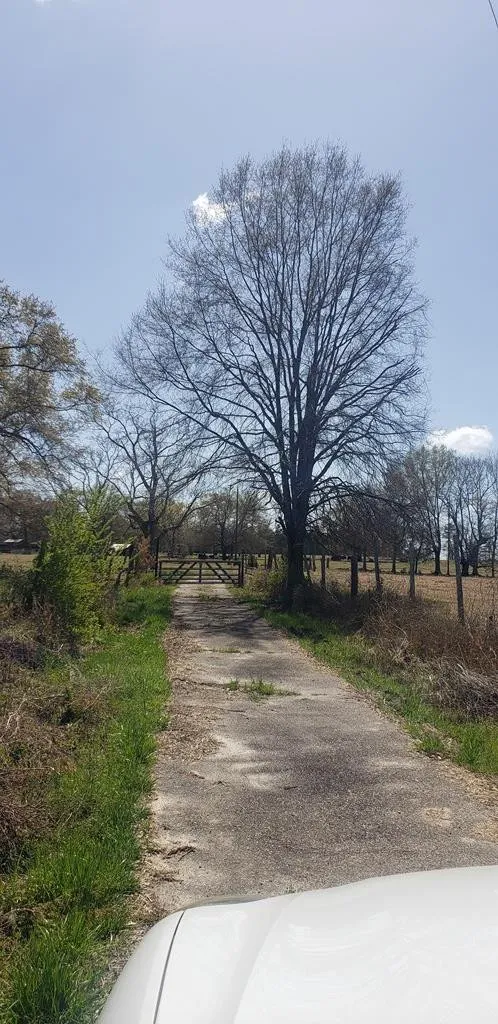 716 Augusta Road Edgefield, SC 29824