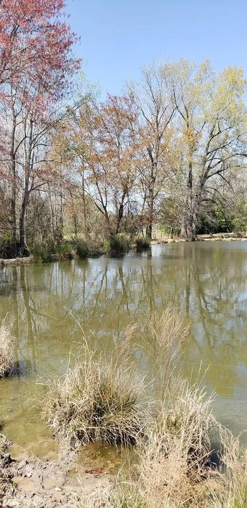 716 Augusta Road Edgefield, SC 29824
