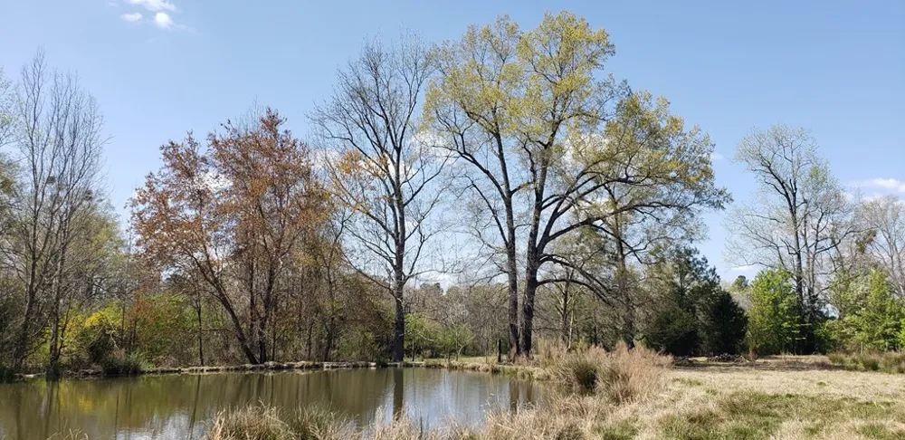 716 Augusta Road Edgefield, SC 29824