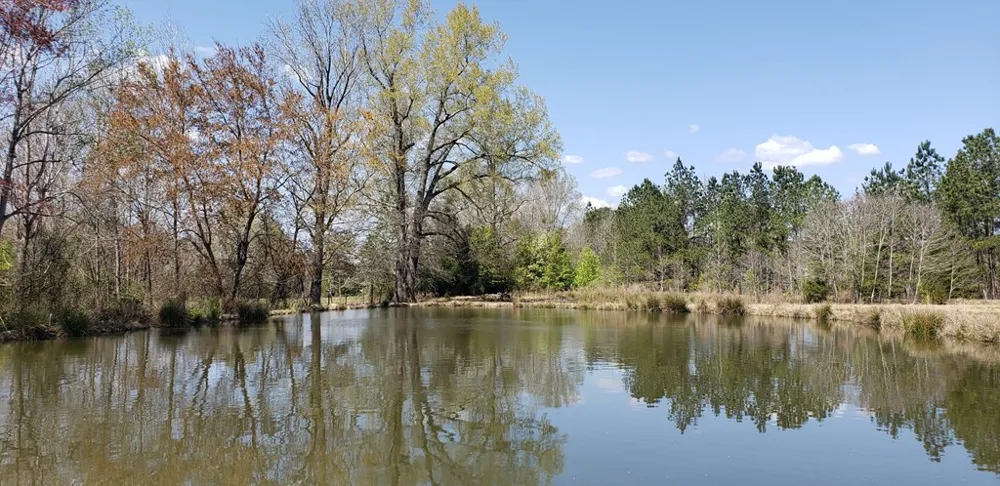 716 Augusta Road Edgefield, SC 29824