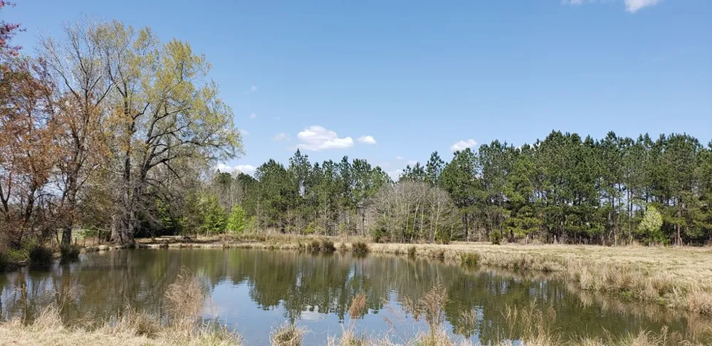 716 Augusta Road Edgefield, SC 29824