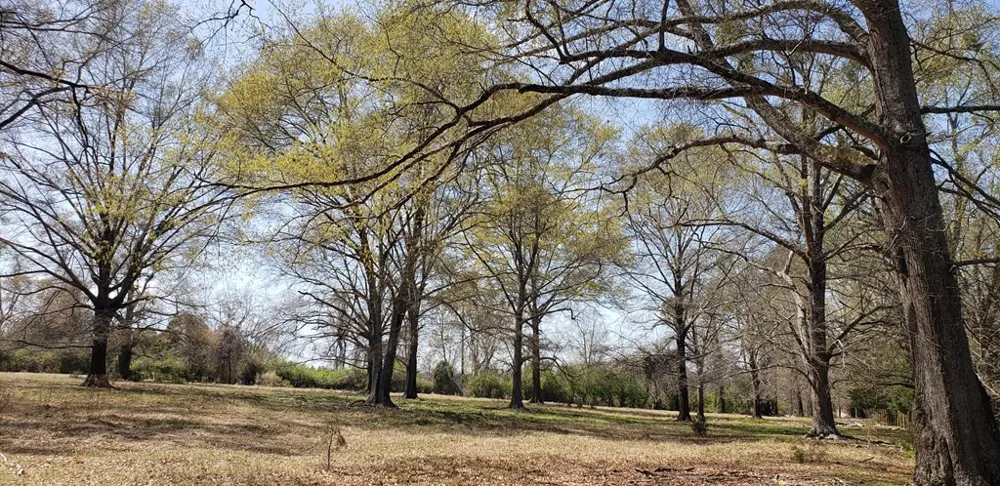 716 Augusta Road Edgefield, SC 29824