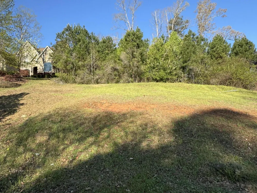 3667 Foxfire Place Martinez, GA 30907