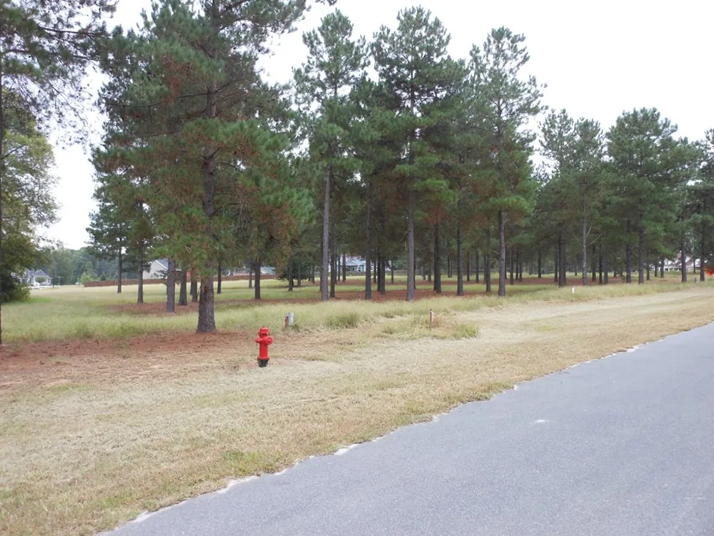 0 Shady Oak Court Waynesboro, GA 30830