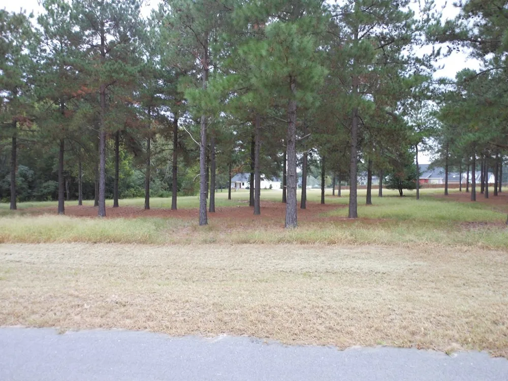 0 Shady Oak Court Waynesboro, GA 30830
