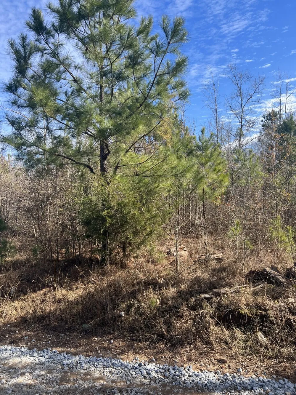 0 Clanton Road Evans, GA 30809