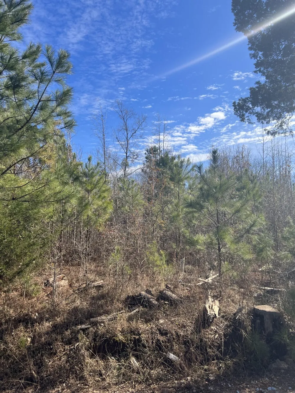 0 Clanton Road Evans, GA 30809