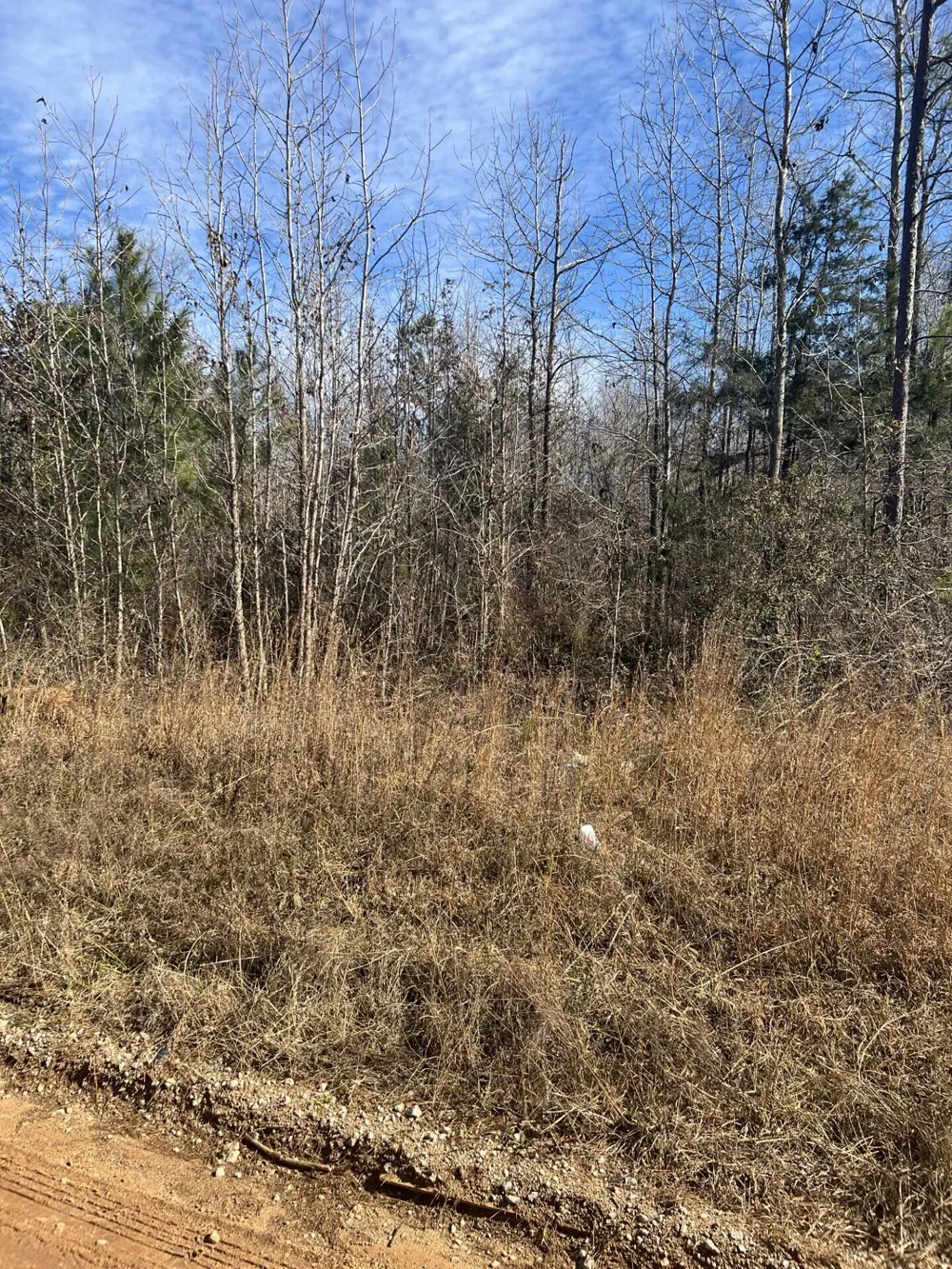 0 Clanton Road Evans, GA 30809