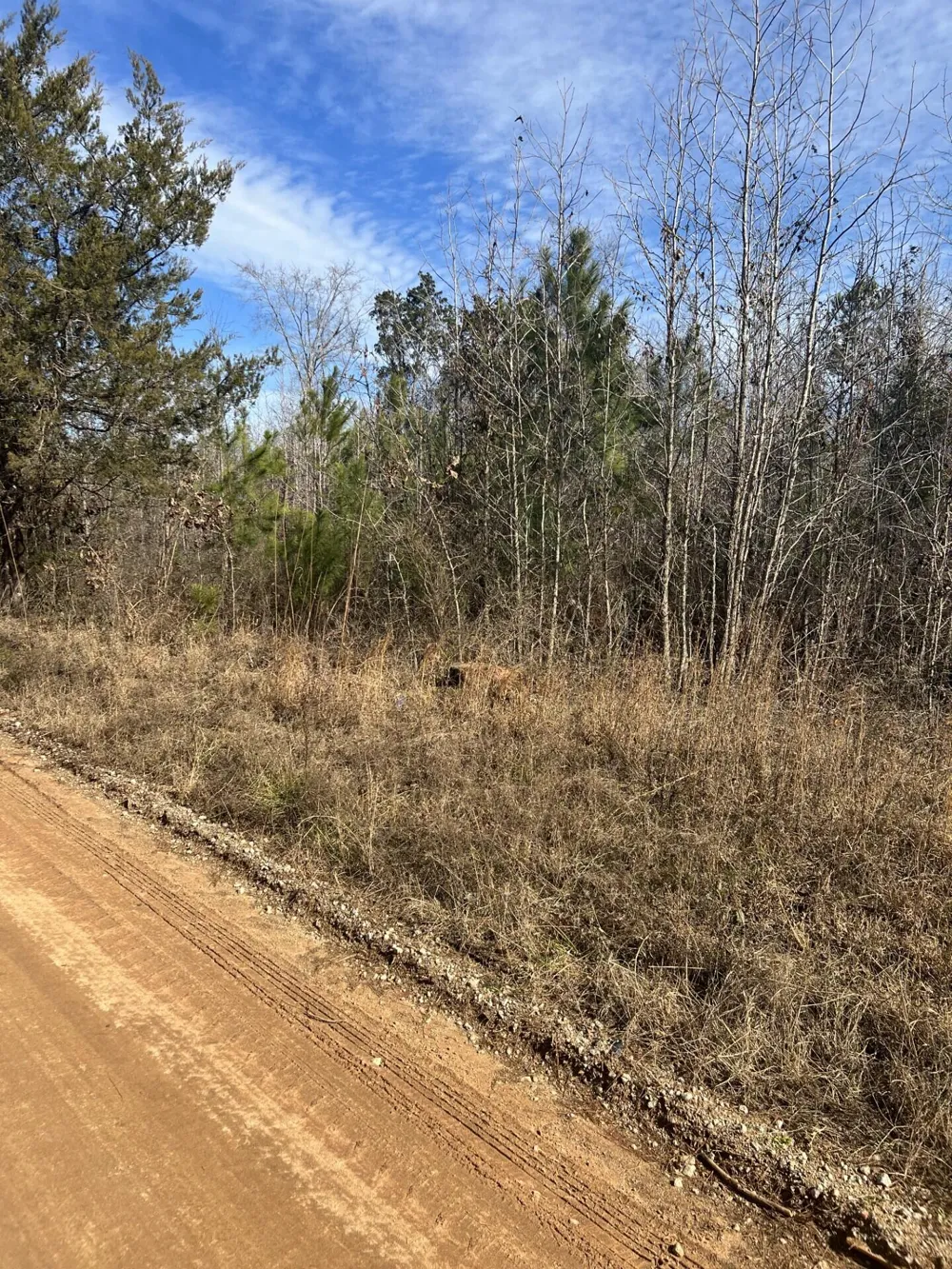 0 Clanton Road Evans, GA 30809