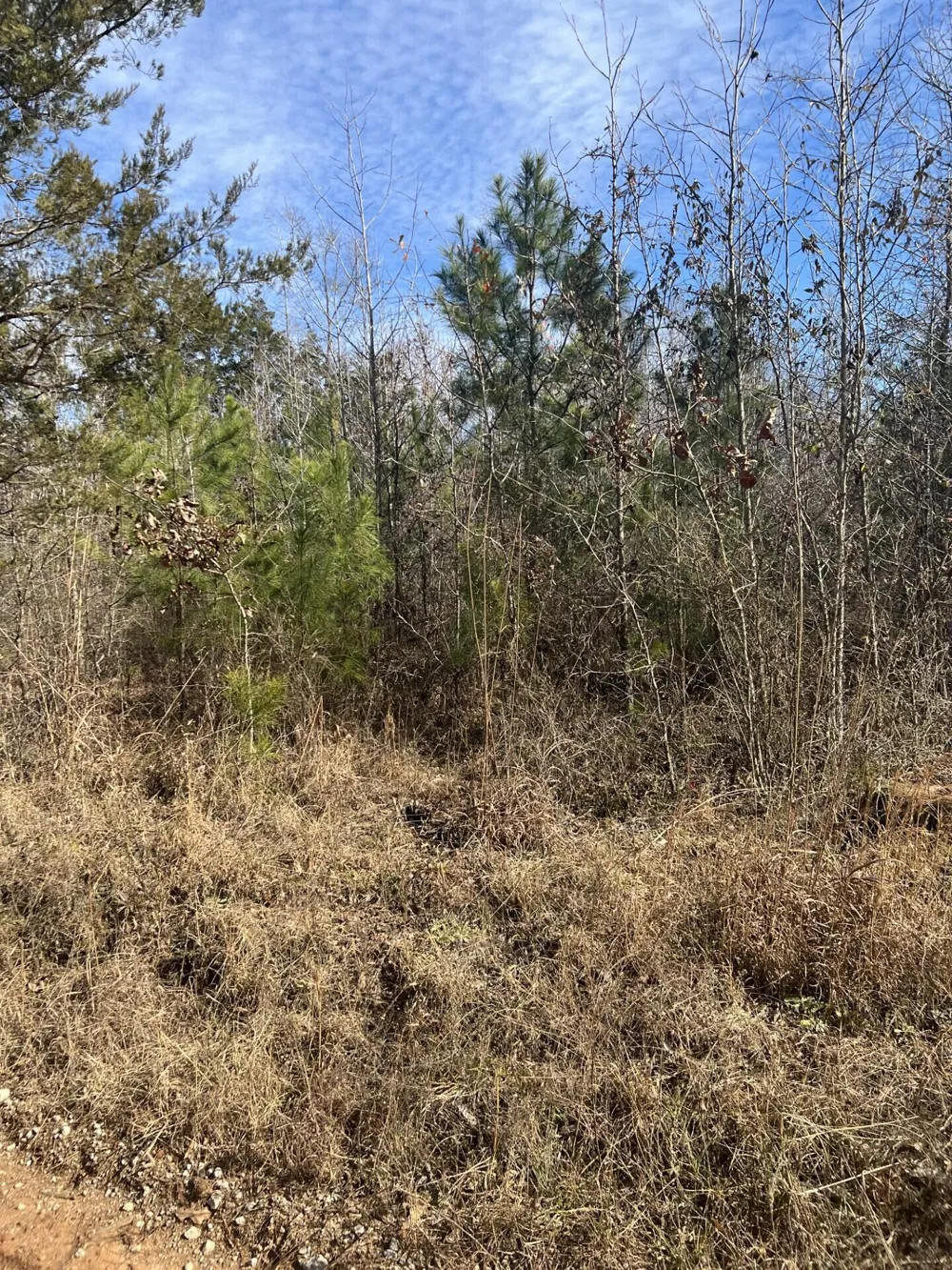 0 Clanton Road Evans, GA 30809